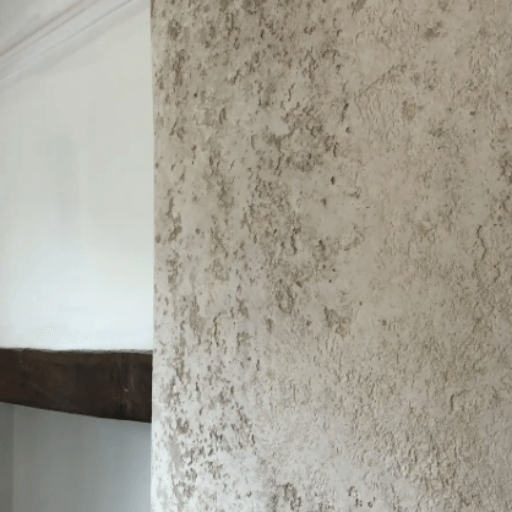 Venetian Plastering Services